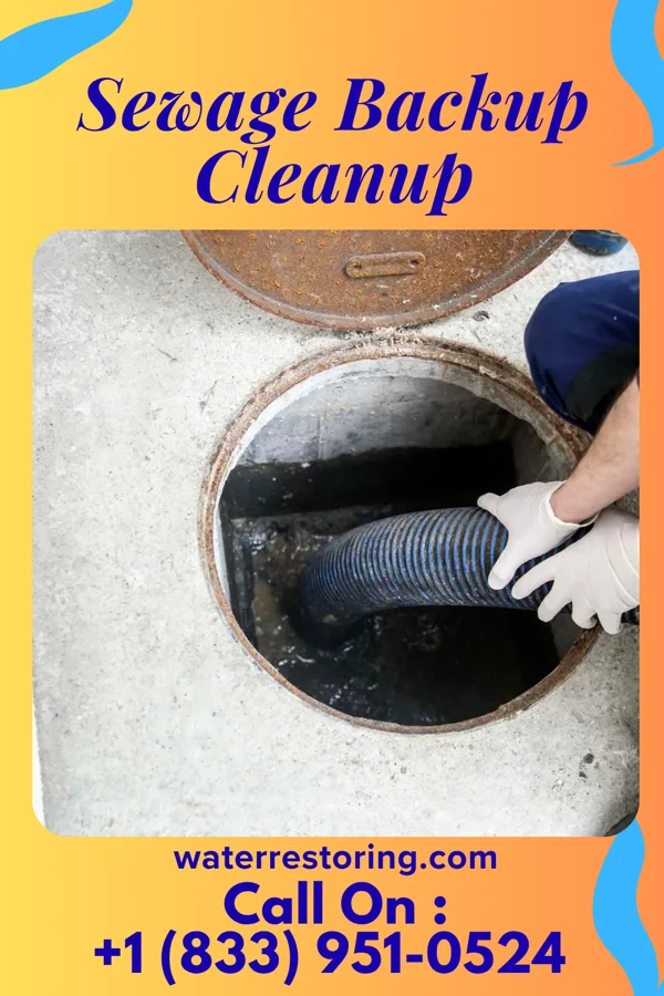 Sewage Backup Cleanup in Schuylkill Haven, PA