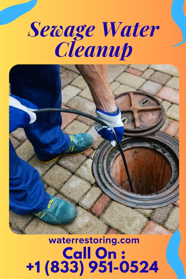 Sewage Water Cleanup in Schuylkill Haven, PA