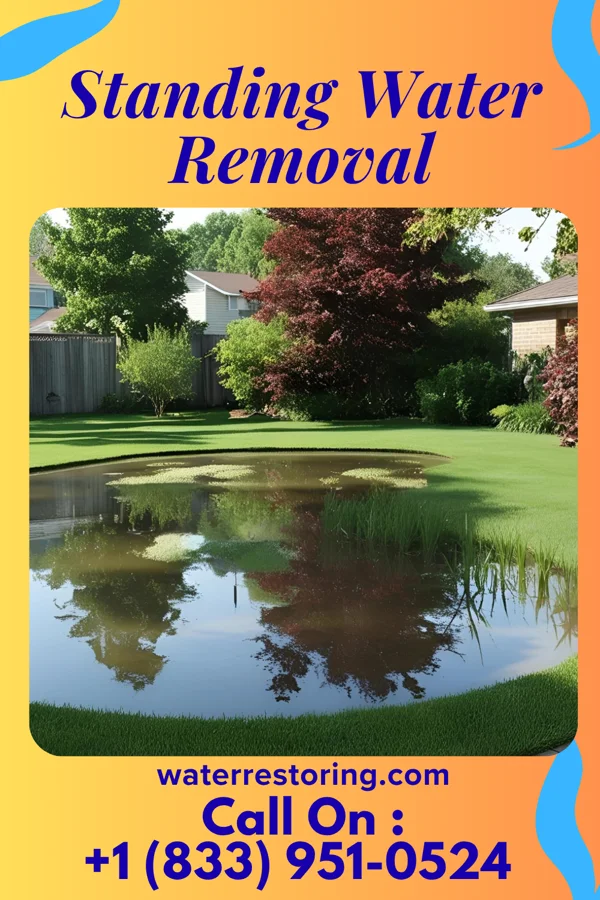 Standing Water Removal in Schuylkill Haven, PA